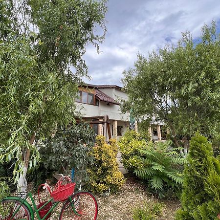 Casa Vera, Tudor Vladimirescu Tulcea Luaran gambar
